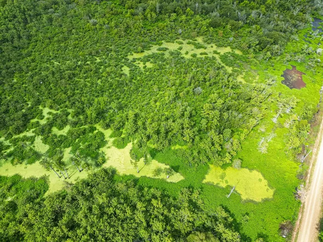 $351,500 | 0 Dawson Road, Tchula, MS 39169