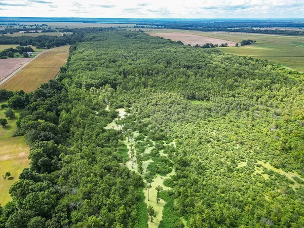 $351,500 | 0 Dawson Road, Tchula, MS 39169