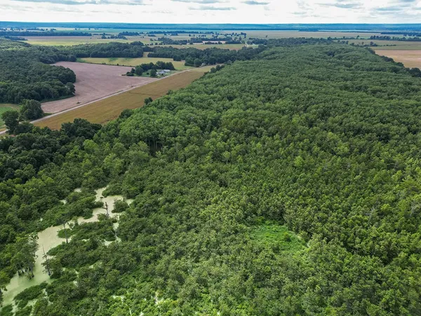 $351,500 | 0 Dawson Road, Tchula, MS 39169