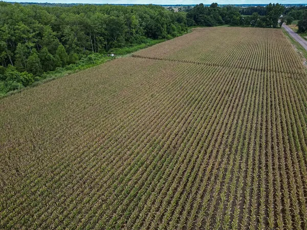 $351,500 | 0 Dawson Road, Tchula, MS 39169