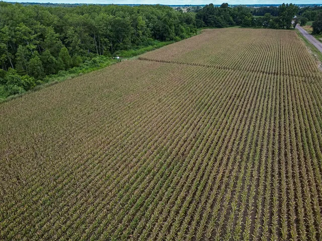 $351,500 | 0 Dawson Road, Tchula, MS 39169