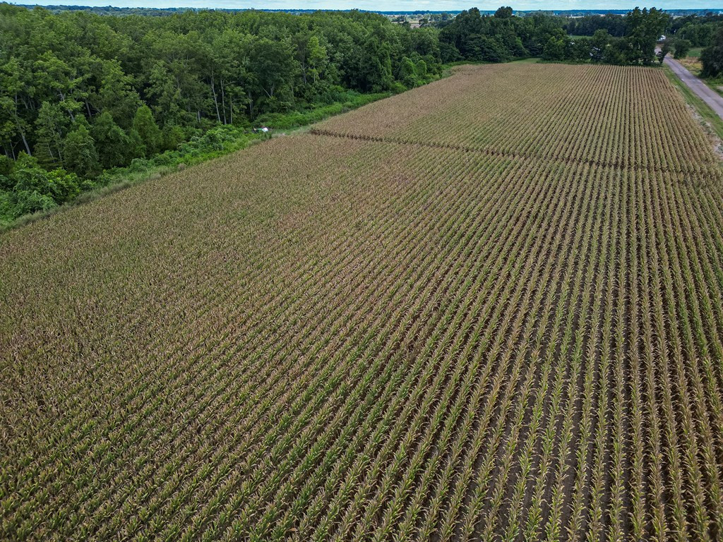 0 Dawson Road Tchula, MS 39169 - Photo 15 of 42 Photo 15