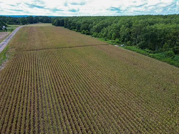 $351,500 | 0 Dawson Road, Tchula, MS 39169