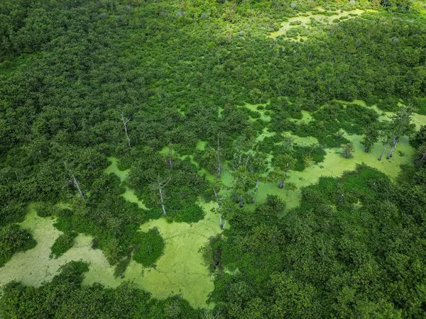 $351,500 | 0 Dawson Road, Tchula, MS 39169