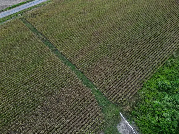 $351,500 | 0 Dawson Road, Tchula, MS 39169