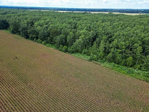 $351,500 | 0 Dawson Road, Tchula, MS 39169