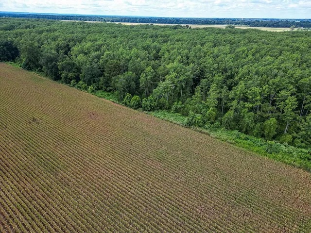 $351,500 | 0 Dawson Road, Tchula, MS 39169