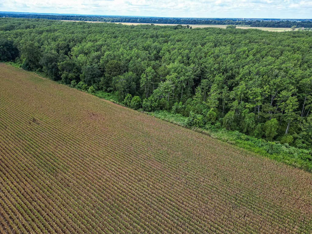 0 Dawson Road Tchula, MS 39169 - Photo 20 of 42 Photo 20