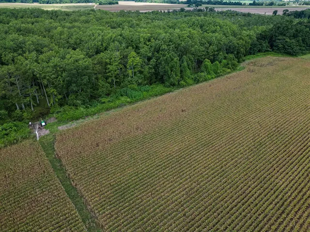 $351,500 | 0 Dawson Road, Tchula, MS 39169