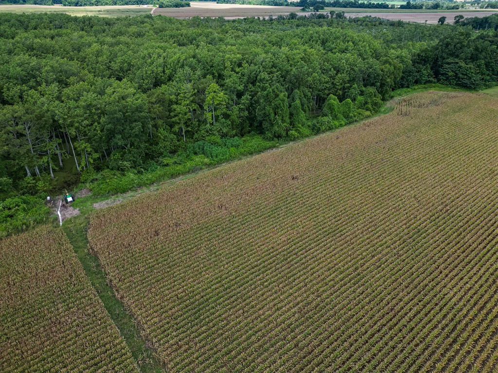 0 Dawson Road Tchula, MS 39169 - Photo 21 of 42 Photo 21