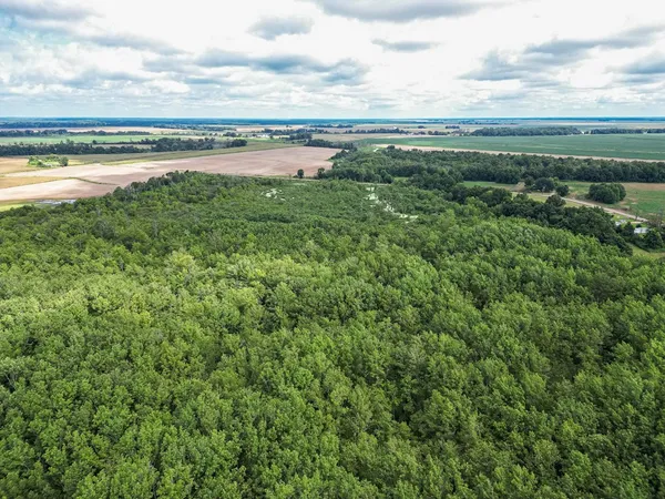 $351,500 | 0 Dawson Road, Tchula, MS 39169