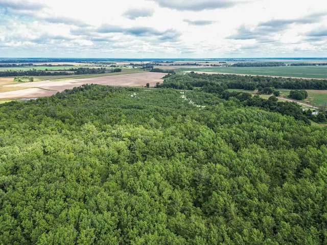 $351,500 | 0 Dawson Road, Tchula, MS 39169