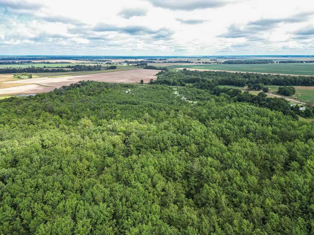 0 Dawson Road Tchula, MS 39169 - Photo 22 of 42 Photo 22