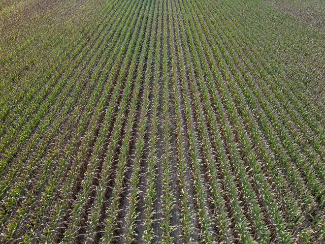 $351,500 | 0 Dawson Road, Tchula, MS 39169