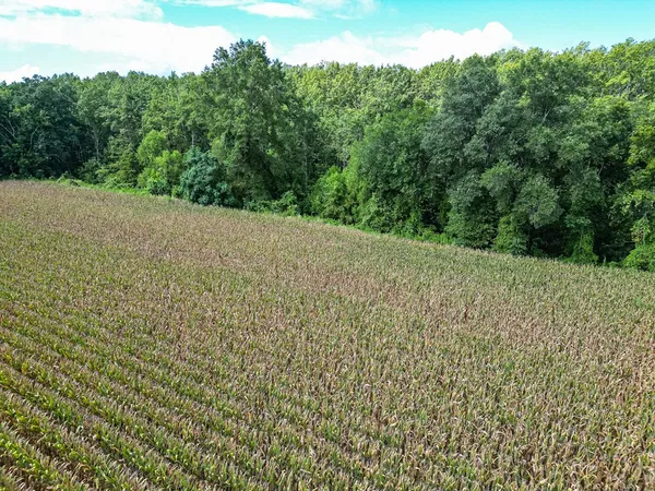 $351,500 | 0 Dawson Road, Tchula, MS 39169