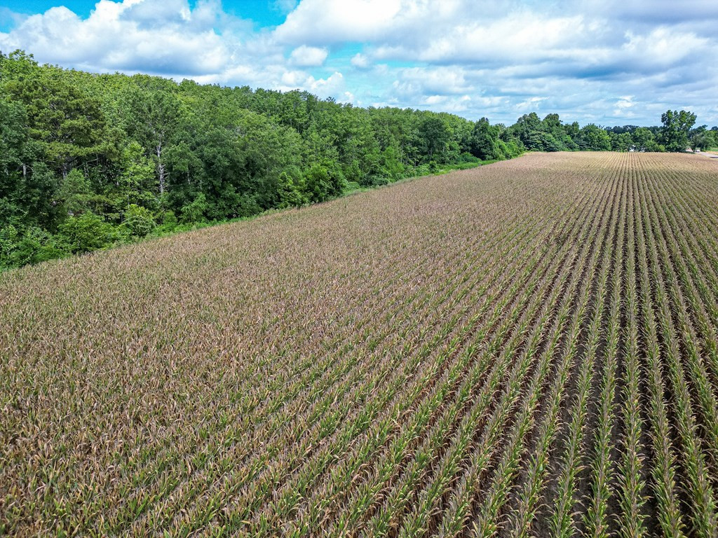 0 Dawson Road Tchula, MS 39169 - Photo 26 of 42 Photo 26