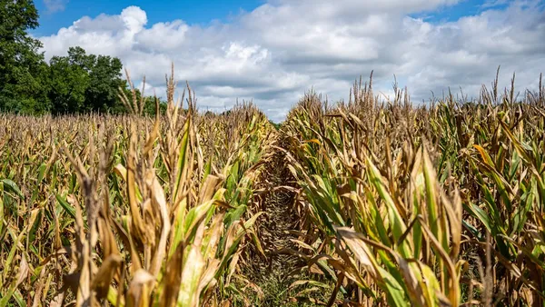 $351,500 | 0 Dawson Road, Tchula, MS 39169