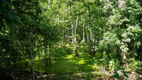 $351,500 | 0 Dawson Road, Tchula, MS 39169
