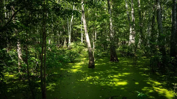 $351,500 | 0 Dawson Road, Tchula, MS 39169