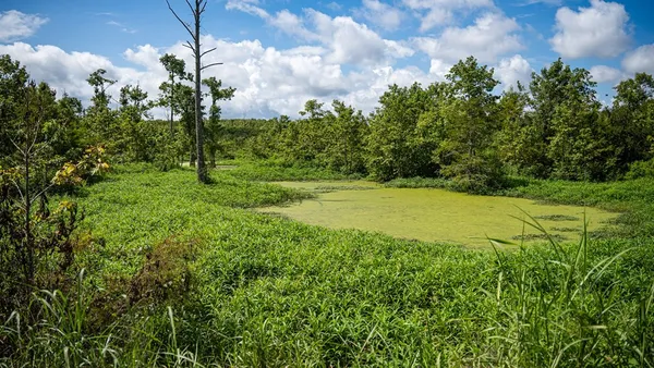 $351,500 | 0 Dawson Road, Tchula, MS 39169