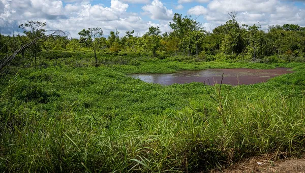 $351,500 | 0 Dawson Road, Tchula, MS 39169