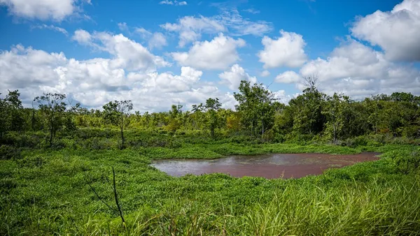 $351,500 | 0 Dawson Road, Tchula, MS 39169