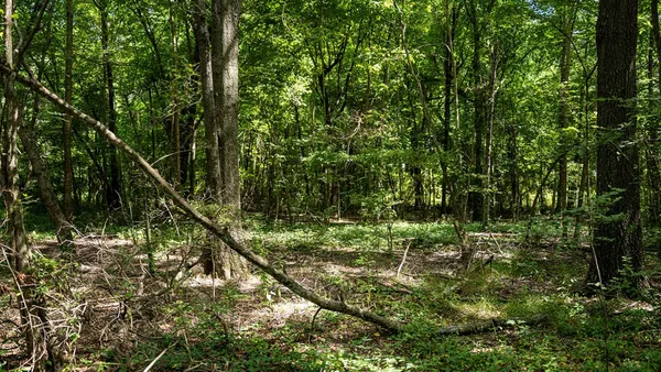 $351,500 | 0 Dawson Road, Tchula, MS 39169