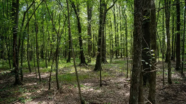 $351,500 | 0 Dawson Road, Tchula, MS 39169