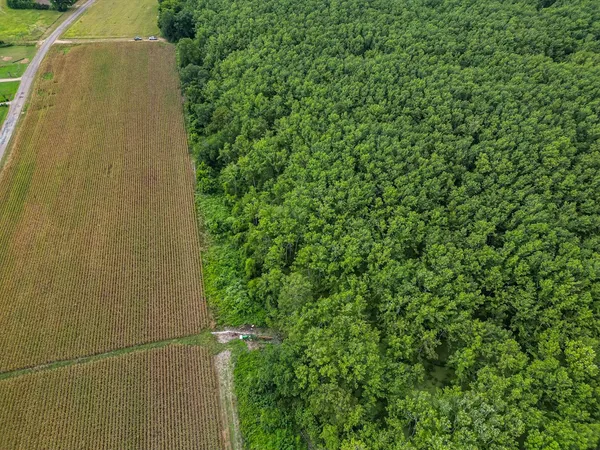 $351,500 | 0 Dawson Road, Tchula, MS 39169