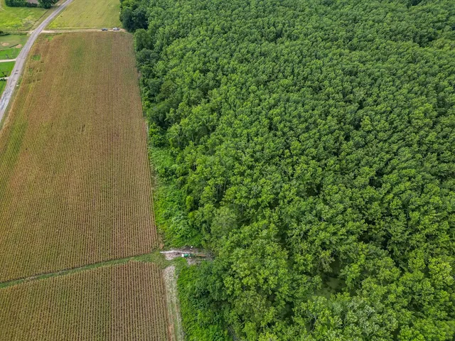 $351,500 | 0 Dawson Road, Tchula, MS 39169