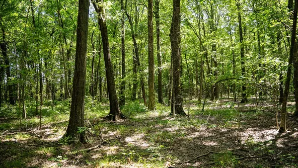 $351,500 | 0 Dawson Road, Tchula, MS 39169