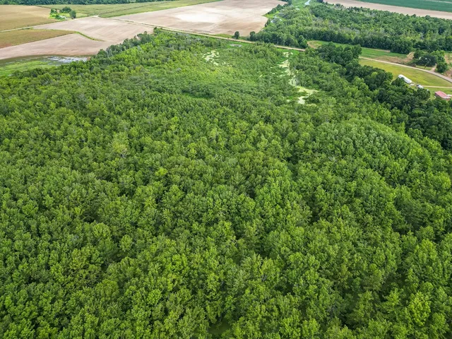 $351,500 | 0 Dawson Road, Tchula, MS 39169