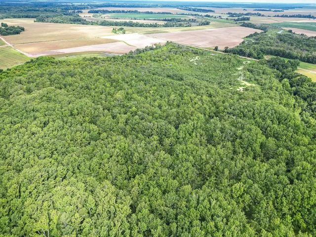 $351,500 | 0 Dawson Road, Tchula, MS 39169