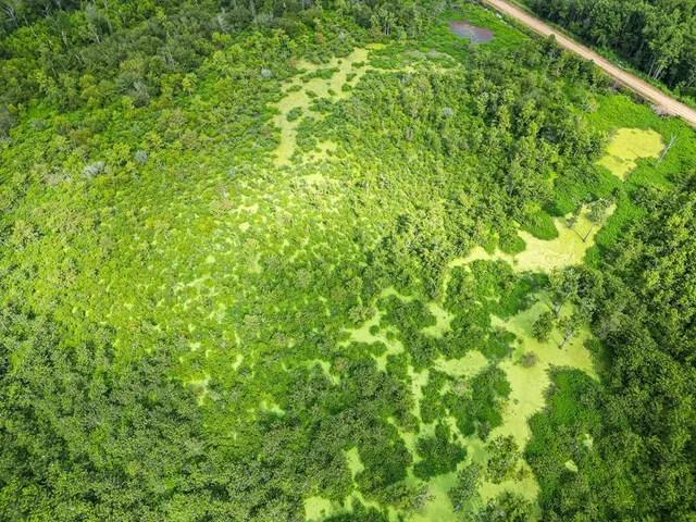 $351,500 | 0 Dawson Road, Tchula, MS 39169