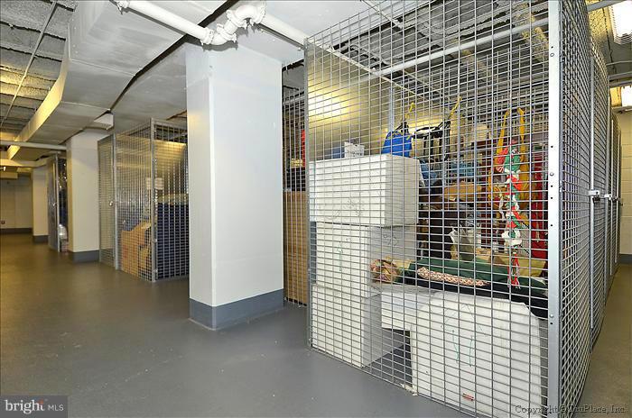 800 4th Street Southwest, Unit N304 Washington, DC 20024 - Photo 13 of 23 Extra storage included