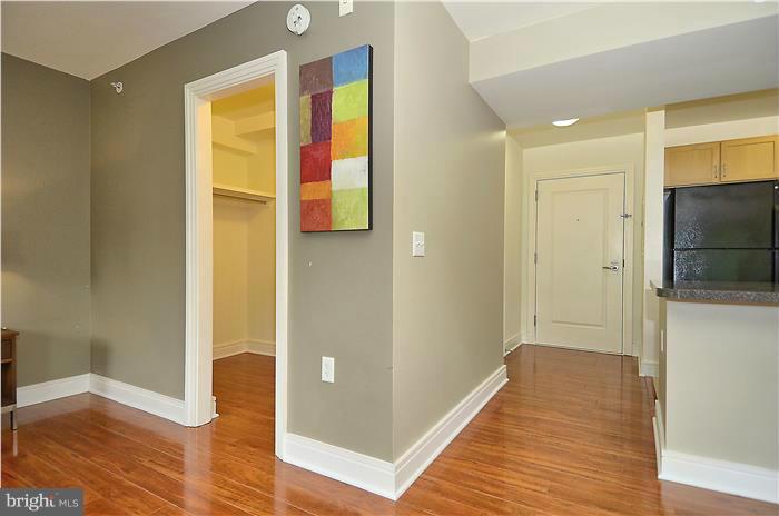 800 4th Street Southwest, Unit N304 Washington, DC 20024 - Photo 10 of 23 Foyer