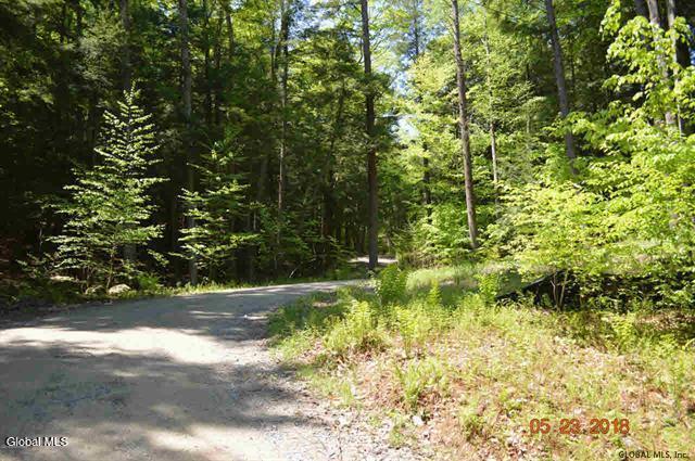 23 Hemlock Ridge Lane Bolton, NY 12814 - Photo 3 of 13 182020-6