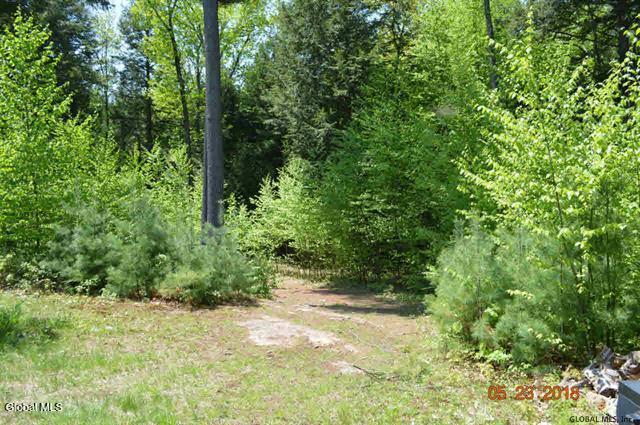 23 Hemlock Ridge Lane Bolton, NY 12814 - Photo 6 of 13 Clearing on front parcel