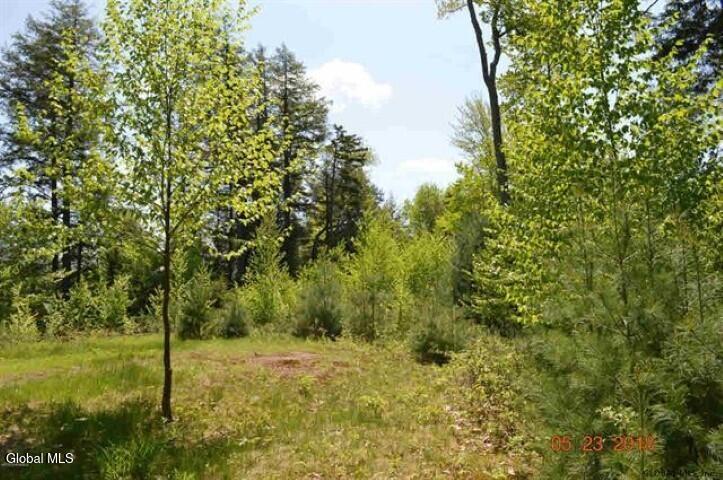 23 Hemlock Ridge Lane Bolton, NY 12814 - Photo 7 of 13 Clearing on Front Parcel