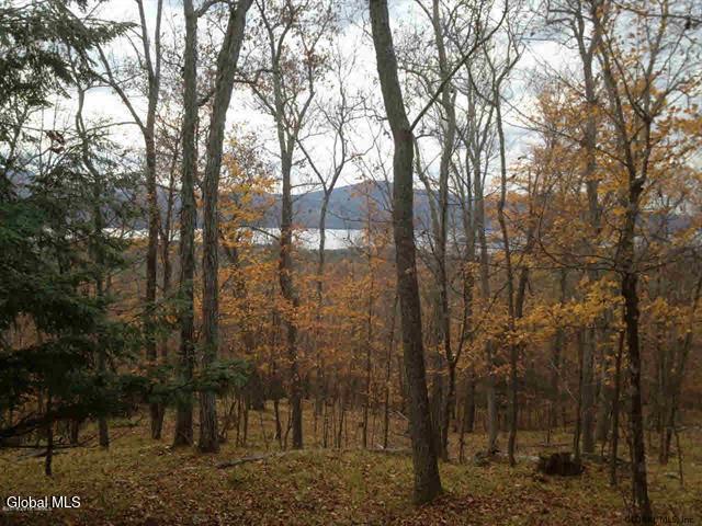 23 Hemlock Ridge Lane Bolton, NY 12814 - Photo 9 of 13 From the TOP of the Property