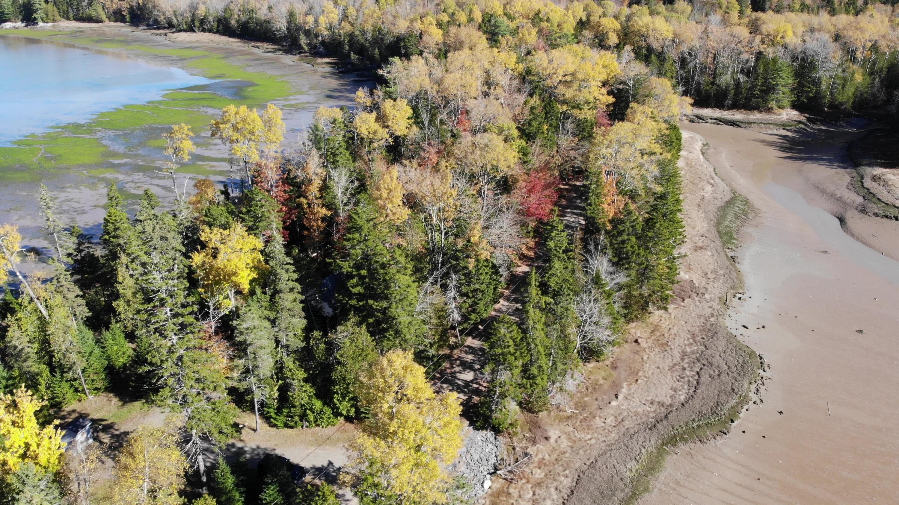 35 Coffins Neck Road Lubec, ME 04652 - Photo 32 of 58 DJI_0111 - frame at 2m59s