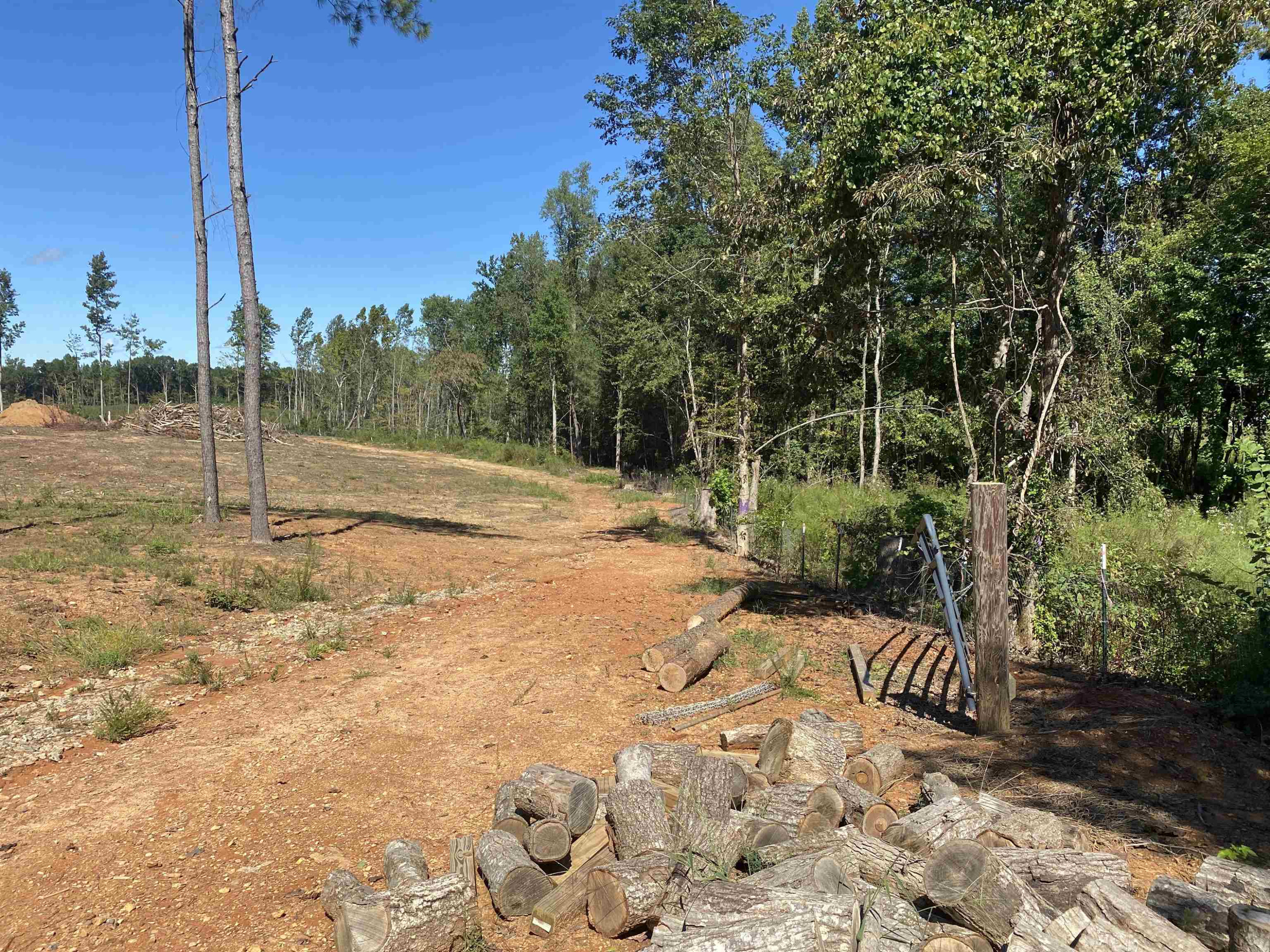 259 Embro-Vaughn Road Macon, NC 27551 - Photo 12 of 29 Photo 12