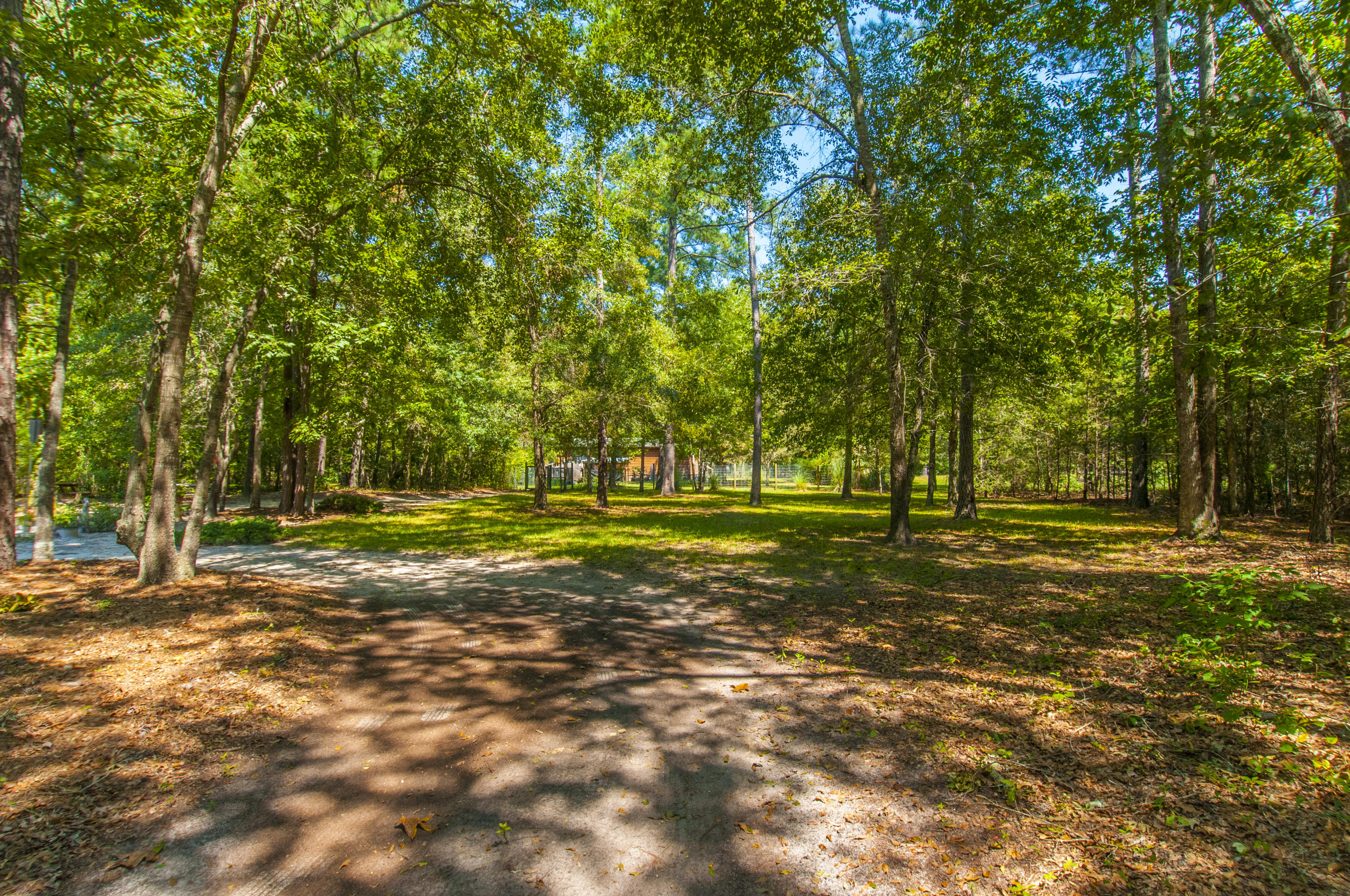6738 State Rd S-10-1769 Ravenel, SC 29470 - Photo 31 of 32 _DSC1600
