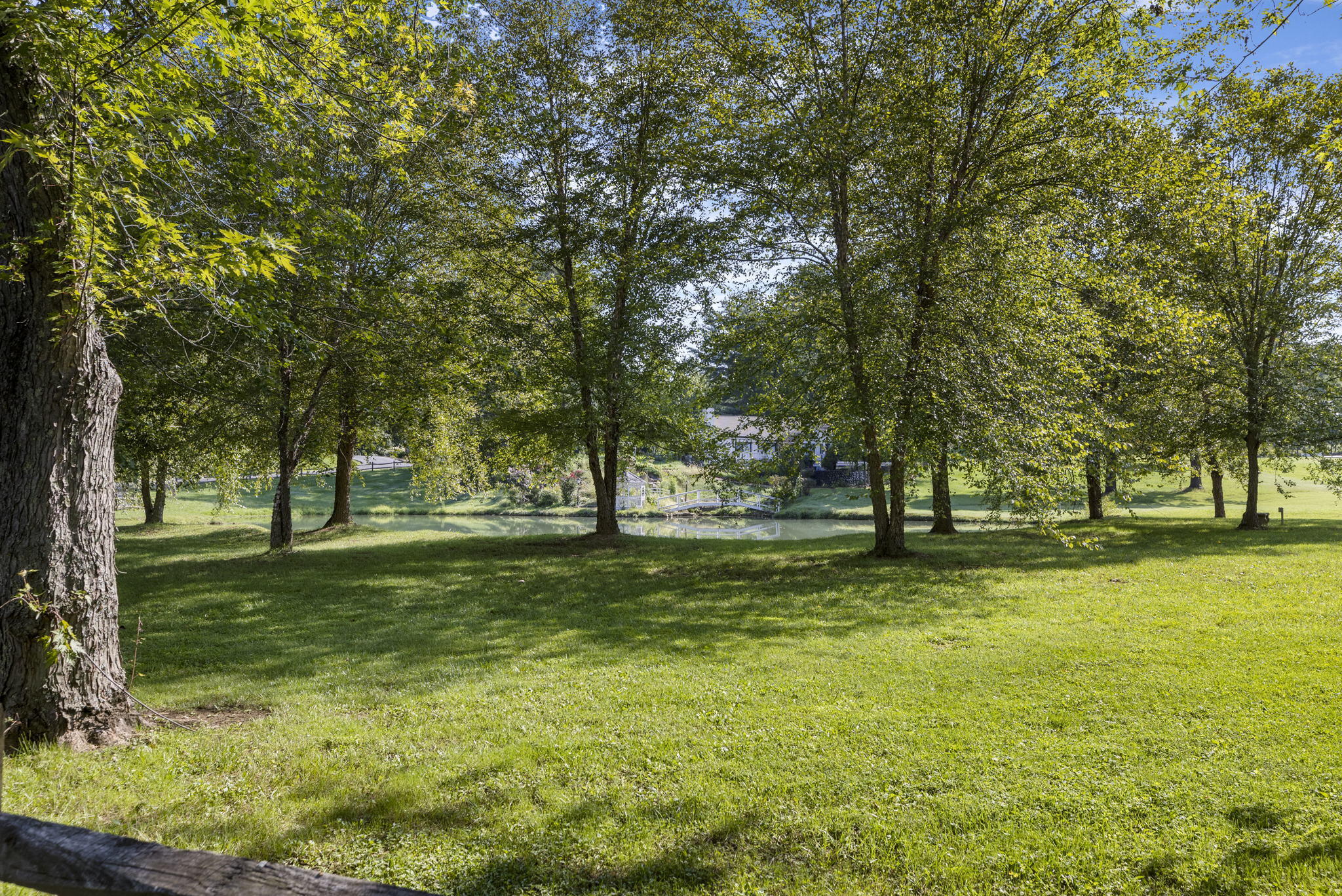629 Fox Meadow Road Elizabethton, TN 37643 - Photo 53 of 62 5-web-or-mls-217A4565