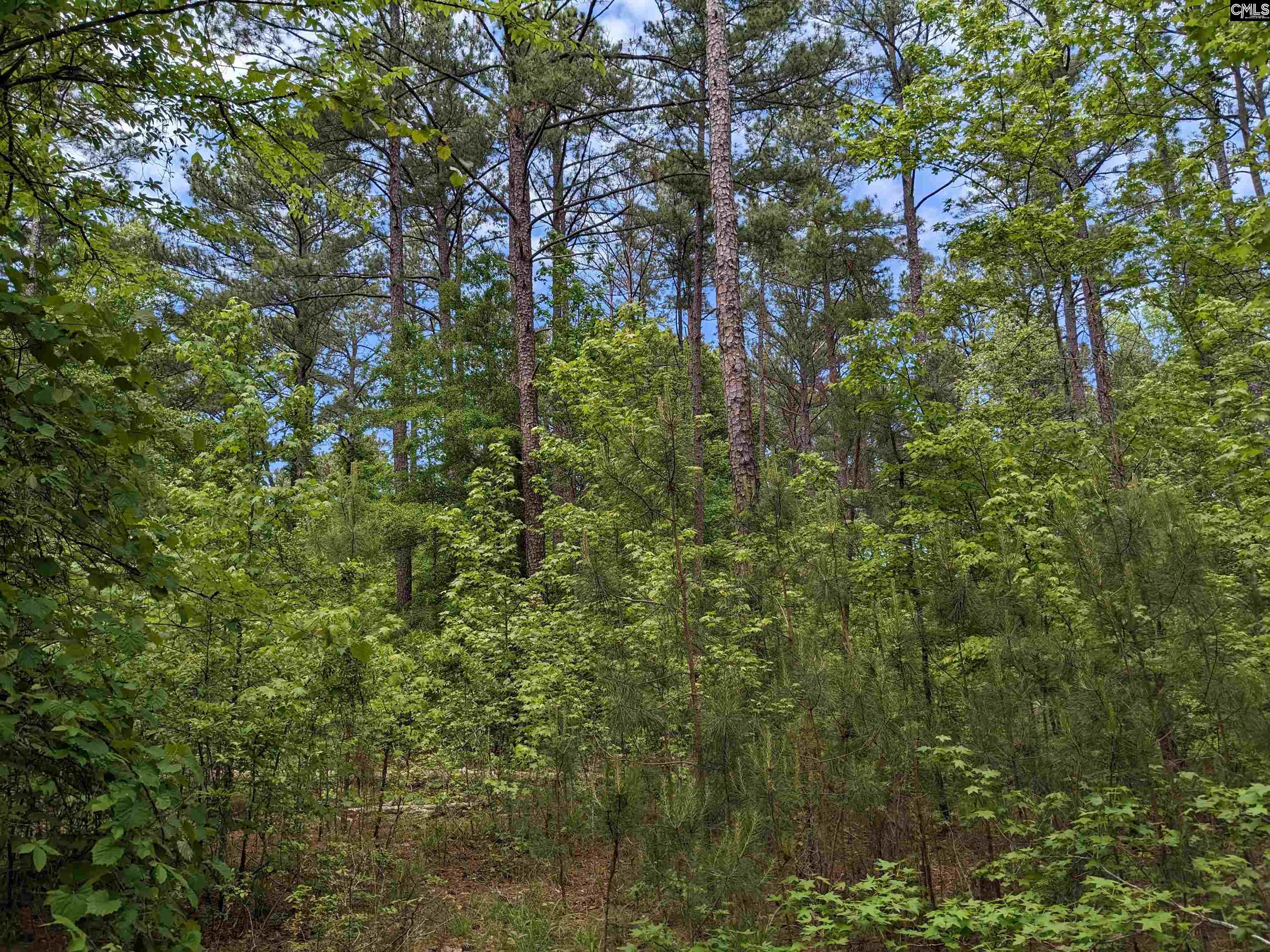 Syrup Mill Road Ridgeway, SC 29130 - Photo 6 of 33