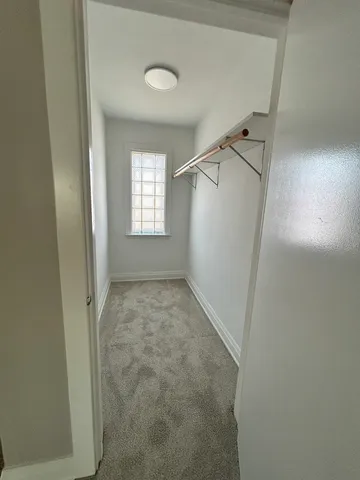 a view of a yard with plants