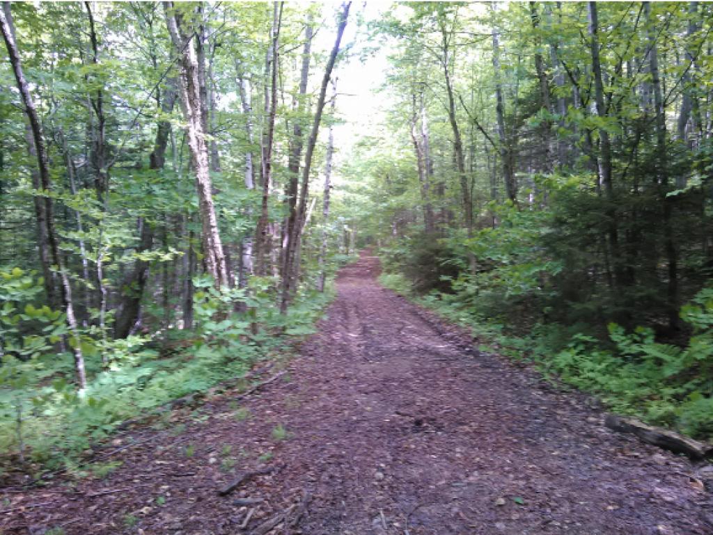 0 Blueberry Hill Road Canaan, NH 03741 - Photo 1 of 4
