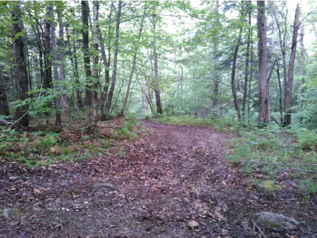 0 Blueberry Hill Road Canaan, NH 03741 - Photo 3 of 4