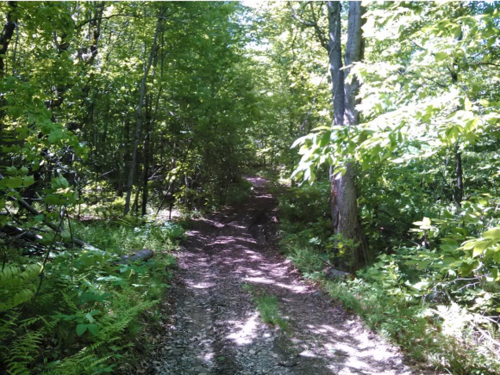 0 Blueberry Hill Road Canaan, NH 03741 - Photo 4 of 4