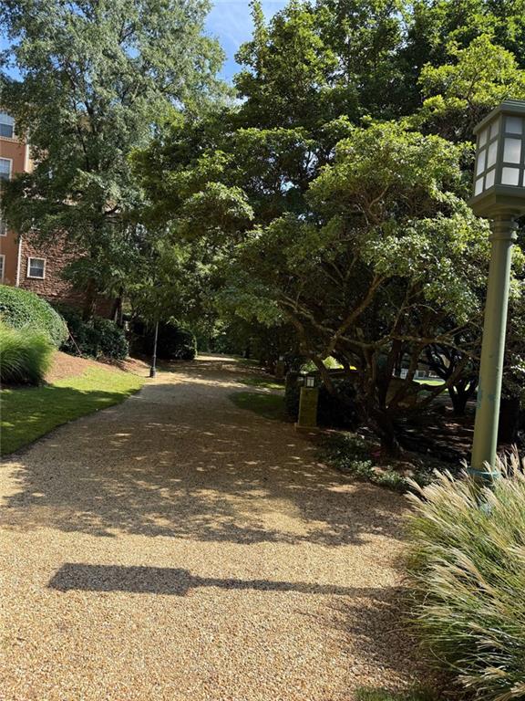 10 Perimeter Summit Boulevard, Unit 3201 Brookhaven, GA 30319 - Photo 20 of 27 a backyard of a house with lots of green space